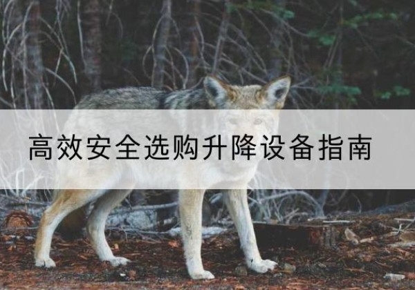 同心升降货梯厂家推荐-*安全选购升降设备指南