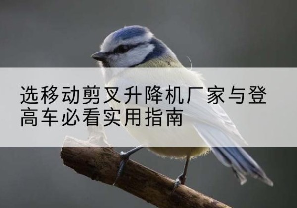 同心电动升降机厂家-选移动剪叉升降机厂家与登高车必看实用指南