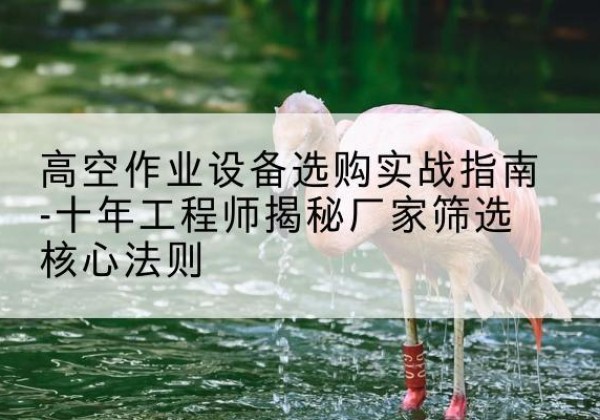 同心剪叉式升降机厂家-高空作业设备选购实战指南-十年工程师揭秘厂家筛选核心法则